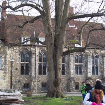 Inglaterra 2015 - 14/01 Winchester