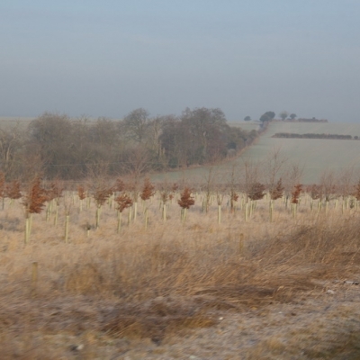 Inglaterra 2015 - 23 de enero Oxford