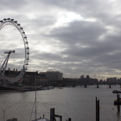 Inglaterra 2015 - 25 de enero London (2)
