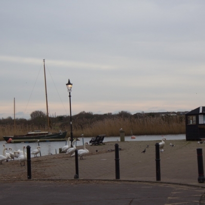 Inglaterra 2015 - 26 de enero Christchurch- New Forest
