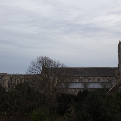 Inglaterra 2015 - 26 de enero Christchurch- New Forest